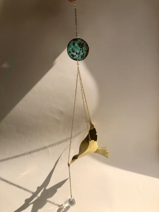 Class : The Lolla Bird- Airplant Hanger